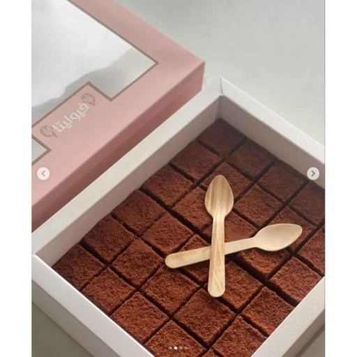 [2100061] حلا الجوزاء فيوليتا