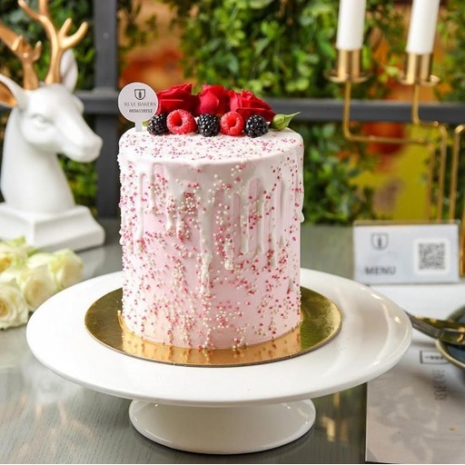 [1700366] نيكد كيك شوكولاتة 1 وسط (ح)