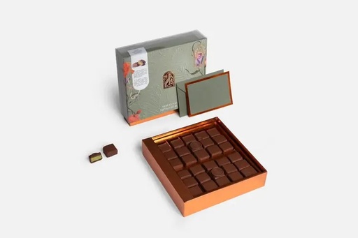 [1402398] فهدة بستاشيو بليس كبير 